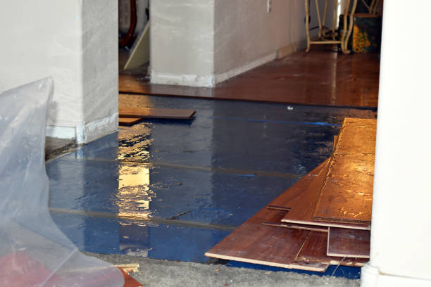 Professional Burst Pipe Cleanup technician working in Converse, TX